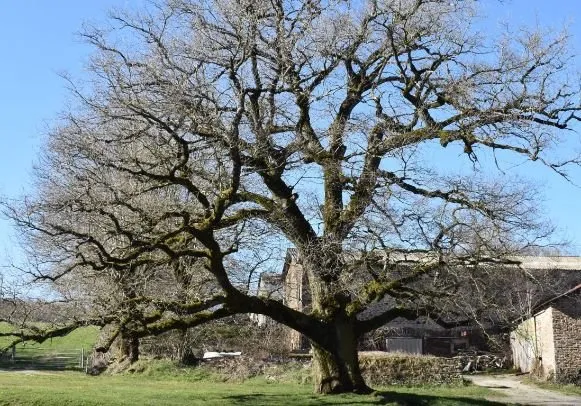 Randonnée Alaret Méjanès Mérican Pont-de-Salars Occitanie