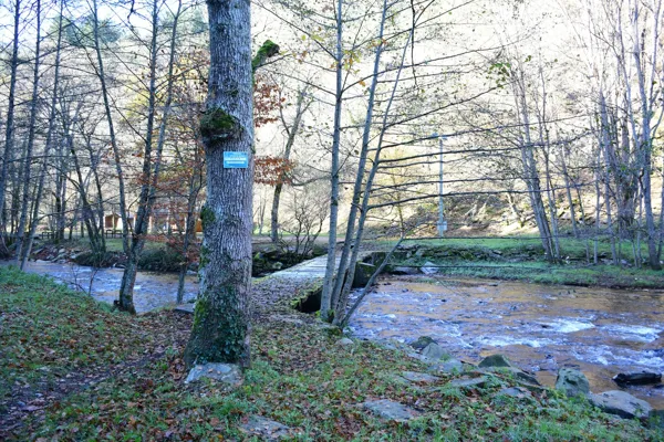 Pêche Le Viaur à Versailles Camboulazet Occitanie
