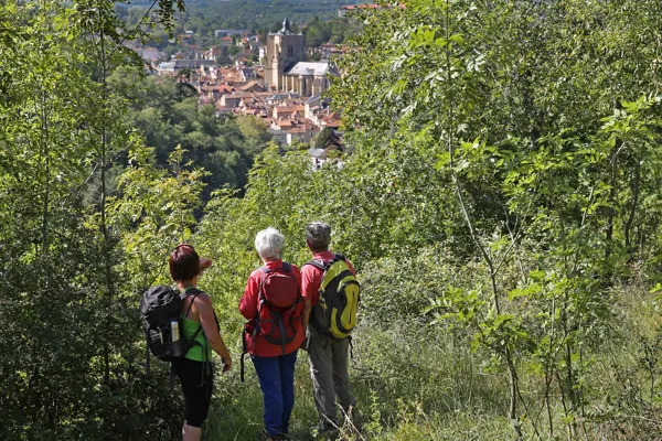 Randonnée Circuit du Boï Villefranche-de-Rouergue Occitanie