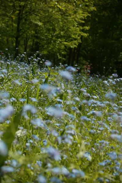 Randonnée le vallon de Brommat Mur-de-Barrez Occitanie