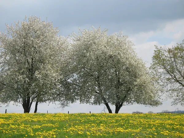 Cyclotourisme Les vallées de la Bromme et du Siniq Mur-de-Barrez Occitanie