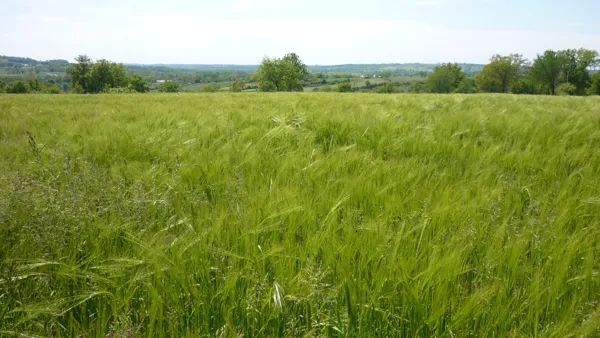 Les Landes Rignac Occitanie