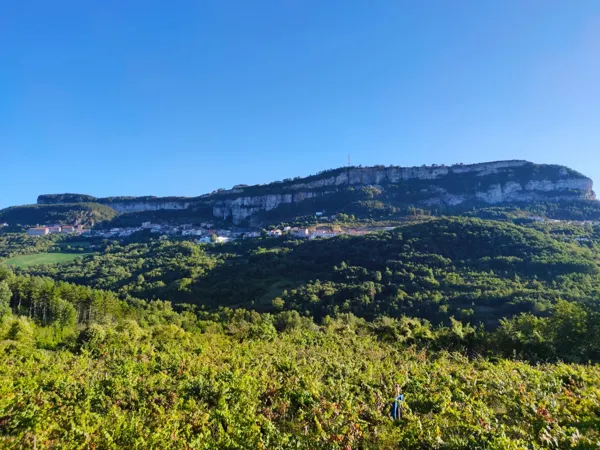 Sentier du Menhir Roquefort-sur-Soulzon Occitanie