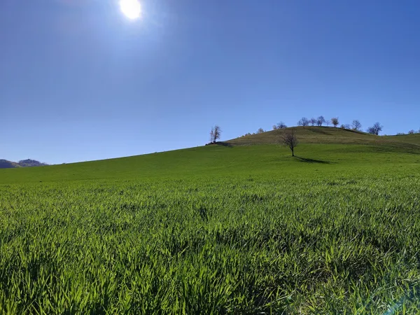 Trail d'Aqui Villecomtal Villecomtal Occitanie