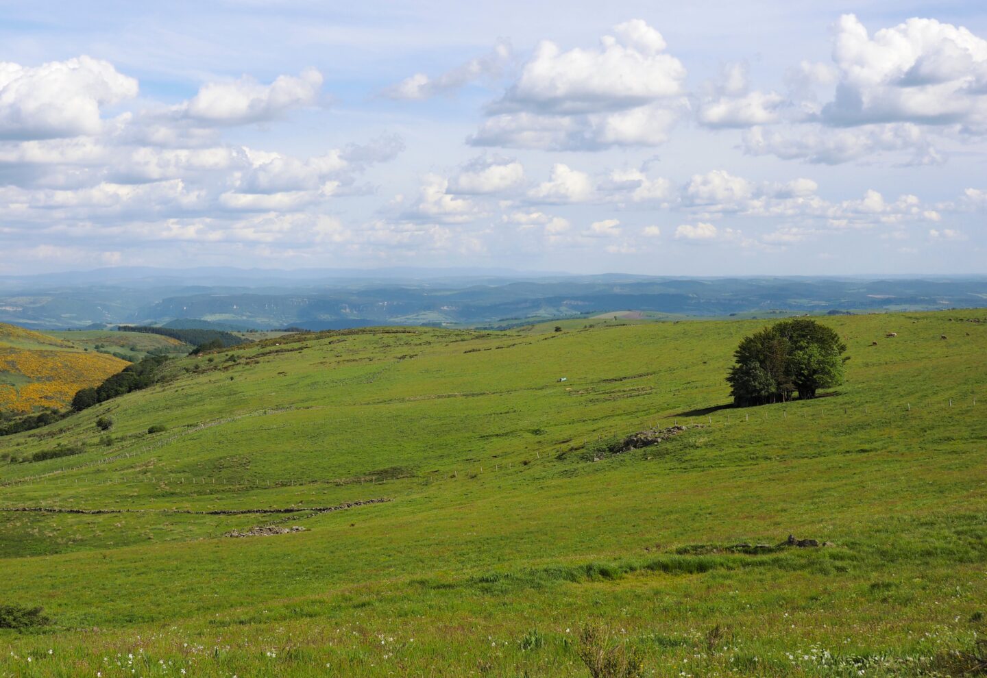 LE PLATEAU DE L’AUBRAC La Canourgue Occitanie LE PLATEAU DE L'AUBRAC La Canourgue Occitanie