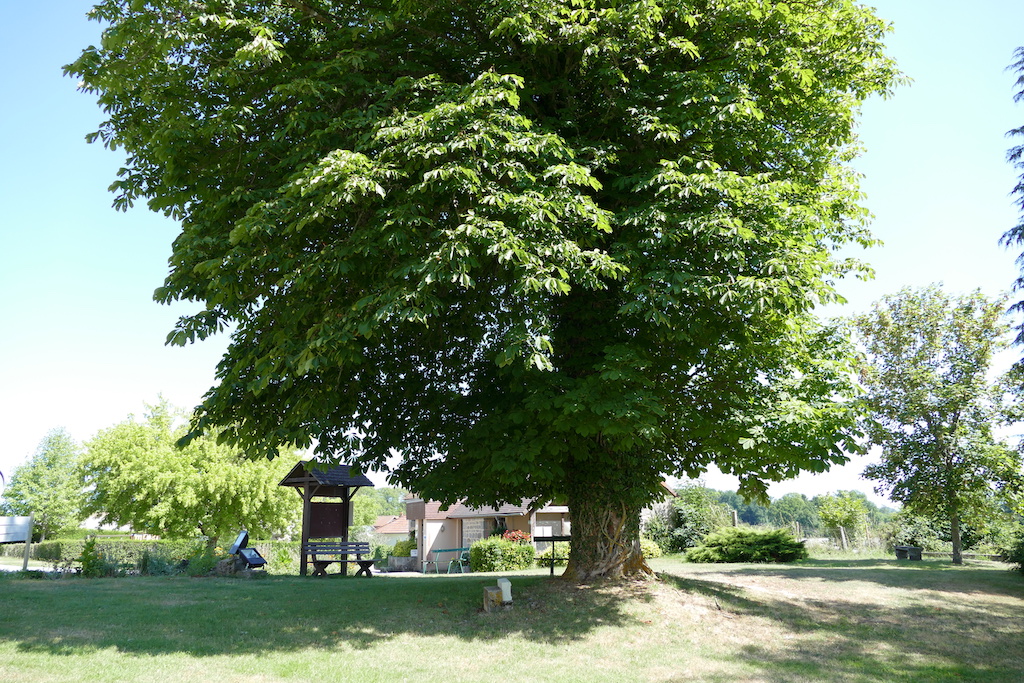 Circuit de randonnée Par Monts et par Vergnes Mérinchal Nouvelle-Aquitaine Circuit de randonnée Par Monts et par Vergnes Mérinchal Nouvelle-Aquitaine
