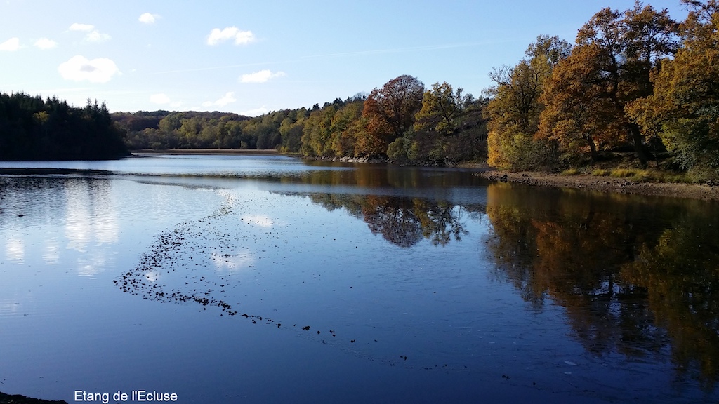 Circuit de randonnée autour des étangs Flayat Nouvelle-Aquitaine