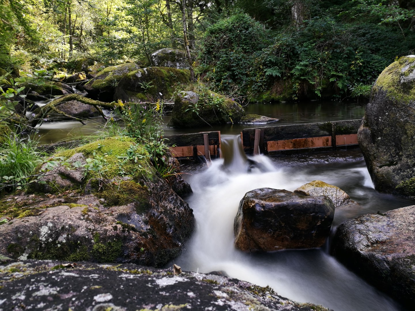 Circuit Pédestre N°21 CC "Sentier de découverte de la Rigole du Diable" Le Monteil-au-Vicomte Nouvelle-Aquitaine