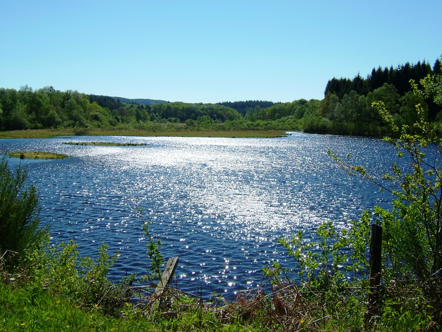 Circuit pédestre N°23 CC: "Sentier de découverte de la tourbière de l'étang du Bourdeau" Saint-Pardoux-Morterolles Nouvelle-Aquitaine