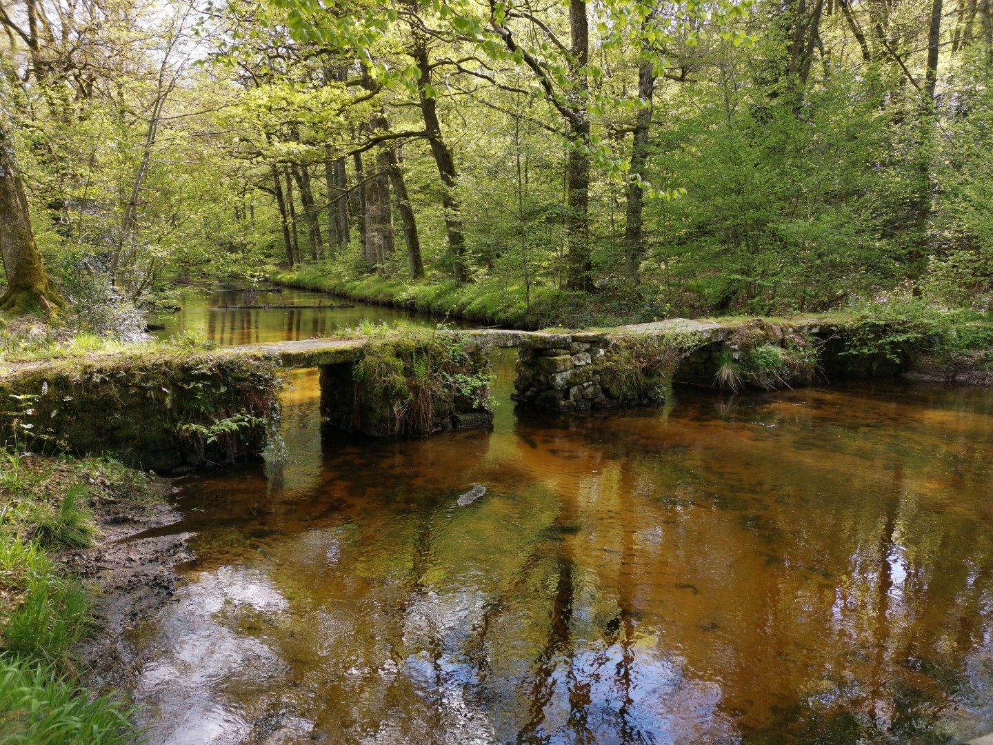 Circuit Pédestre N°53 « La vallée de la Maulde » Saint-Martin-Château Nouvelle-Aquitaine Circuit Pédestre N°53 "La vallée de la Maulde" Saint-Martin-Château Nouvelle-Aquitaine