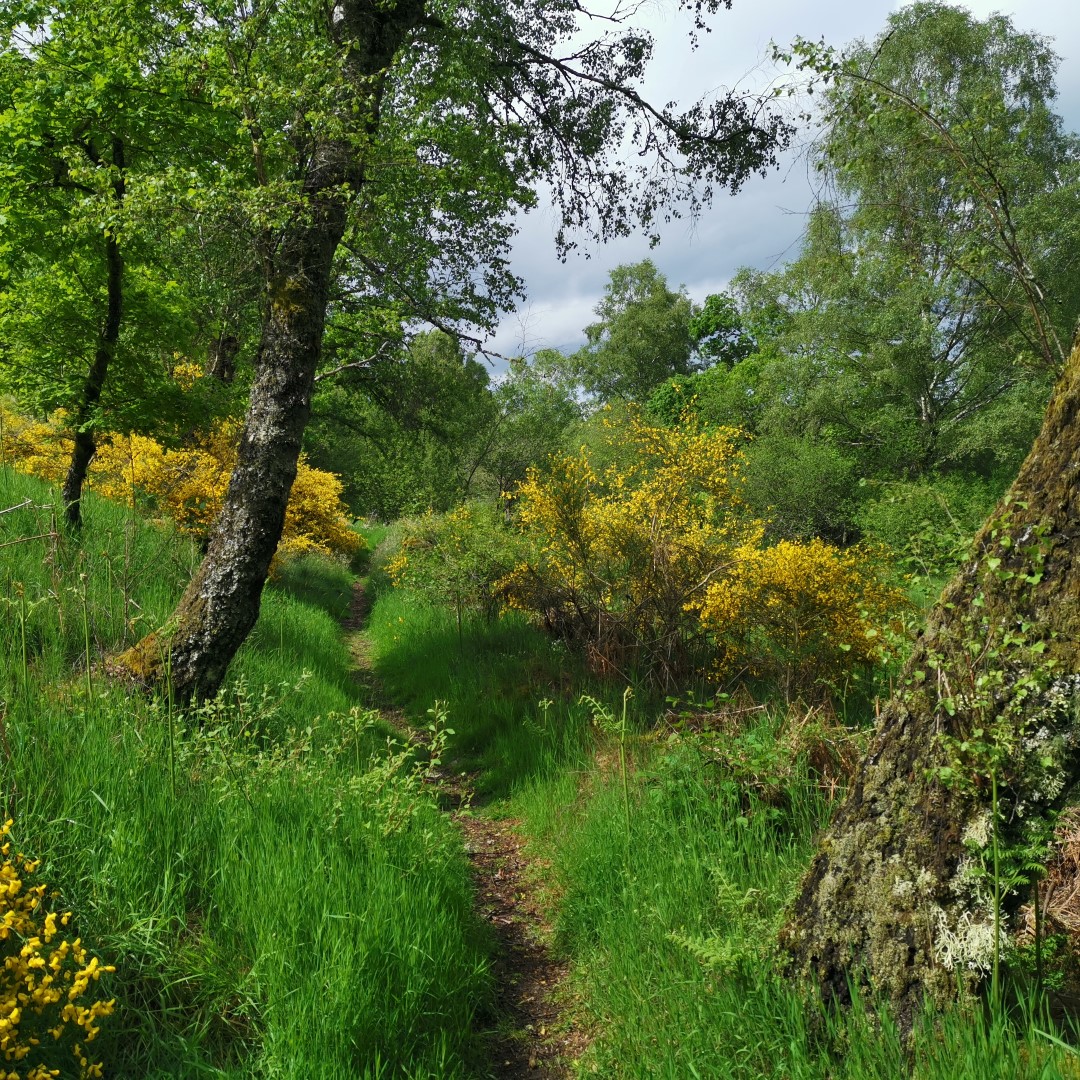 Circuit Pédestre N°66 "Sentier de Beauvais" Saint-Pierre-Bellevue Nouvelle-Aquitaine