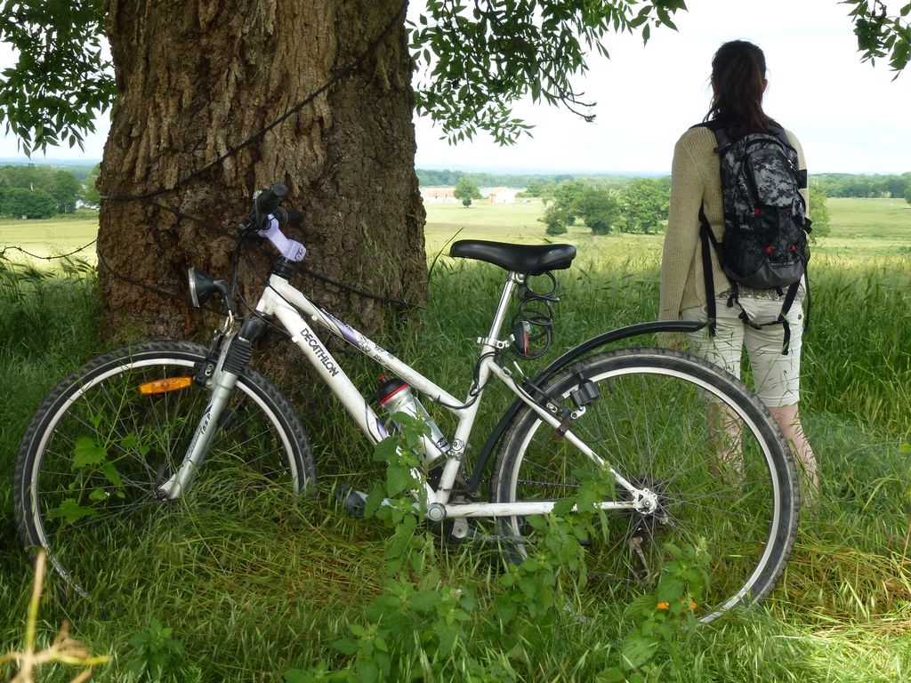 Circuit « Véloroute Est Creuse » Évaux-les-Bains Nouvelle-Aquitaine Circuit "Véloroute Est Creuse" Évaux-les-Bains Nouvelle-Aquitaine