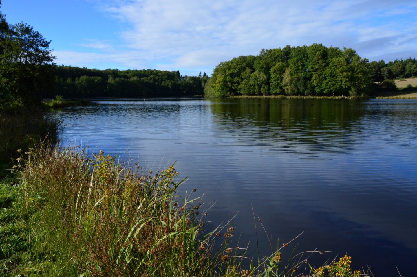 Circuit Pédestre N°11 L’étang du Moulin du Donzeil Le Donzeil Nouvelle-Aquitaine Circuit Pédestre N°11 L'étang du Moulin du Donzeil Le Donzeil Nouvelle-Aquitaine