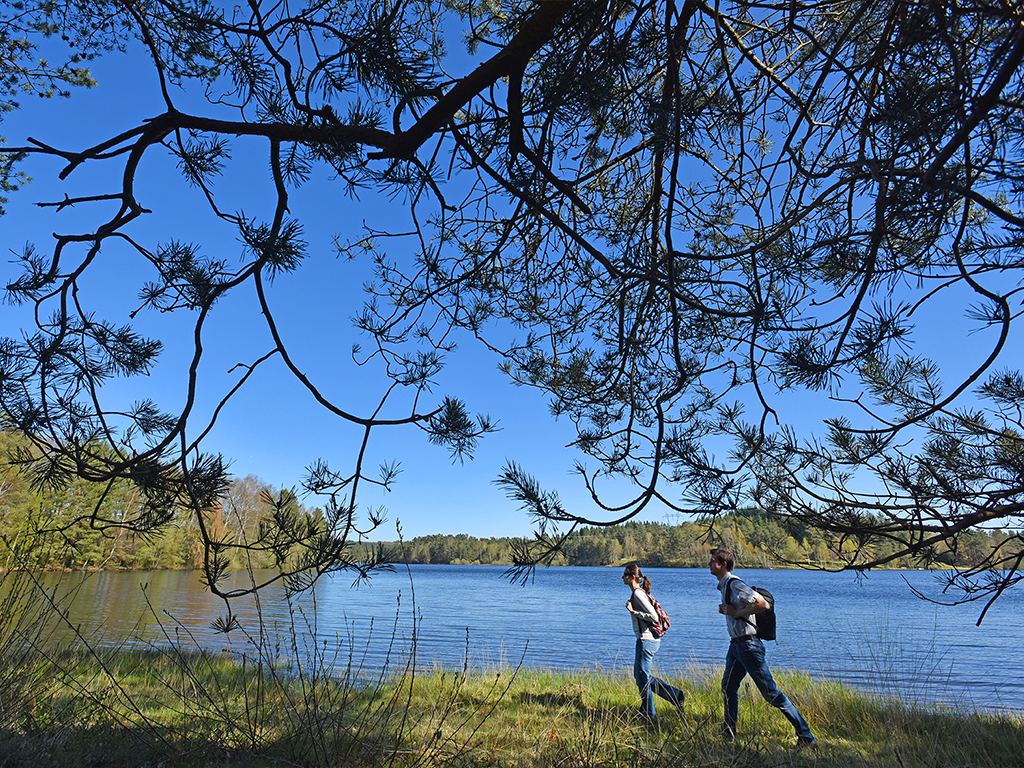 RANDO « Le lac de Lavaud-Gelade » Saint-Marc-à-Loubaud Nouvelle-Aquitaine RANDO "Le lac de Lavaud-Gelade" Saint-Marc-à-Loubaud Nouvelle-Aquitaine