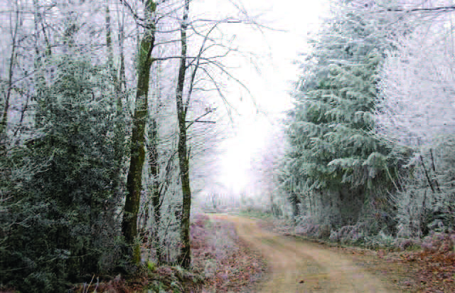 De Pierre et de Bois SD1 Saint-Sulpice-le-Dunois Nouvelle-Aquitaine