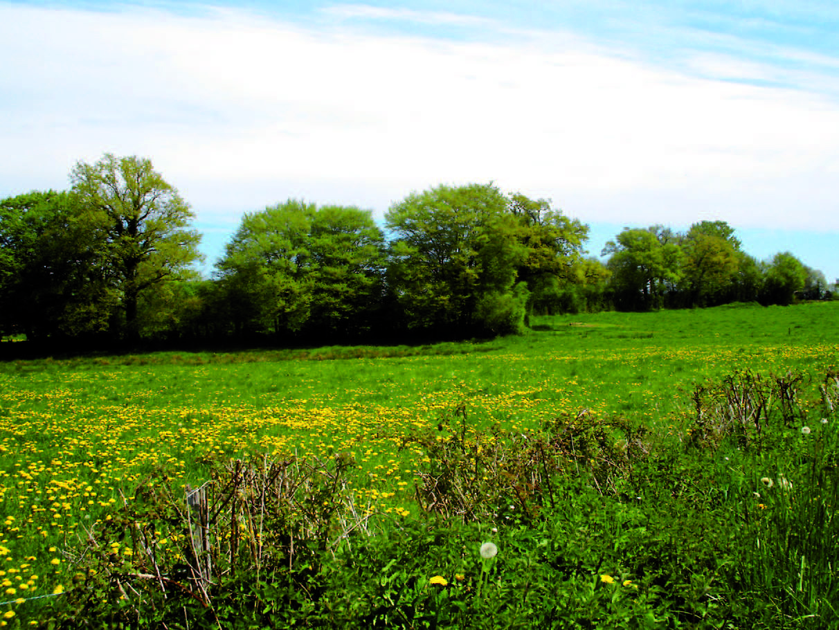 Circuit VTT n°33 Villard Nouvelle-Aquitaine