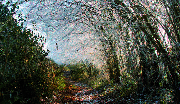 Circuit VTT n°36 Nouzerolles Nouvelle-Aquitaine