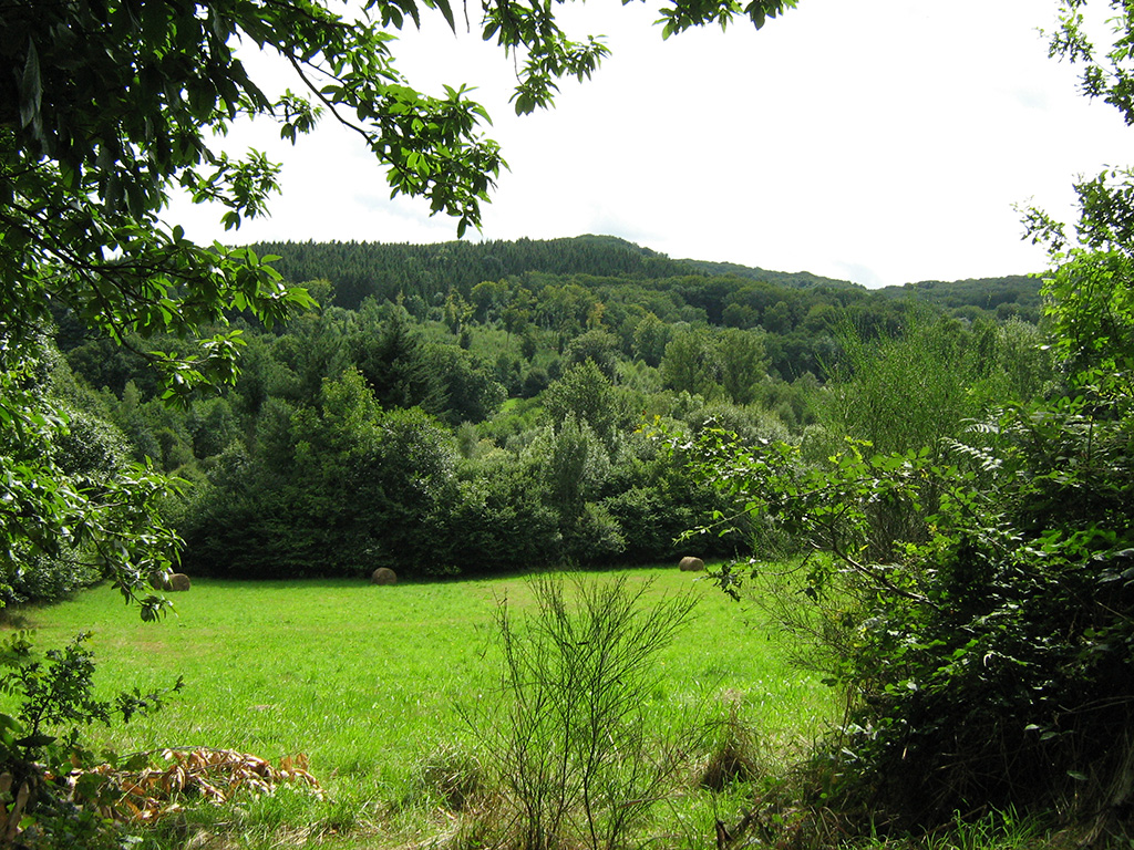 Circuit de randonnée pédestre N°29 Saint-Yrieix-les-Bois Nouvelle-Aquitaine
