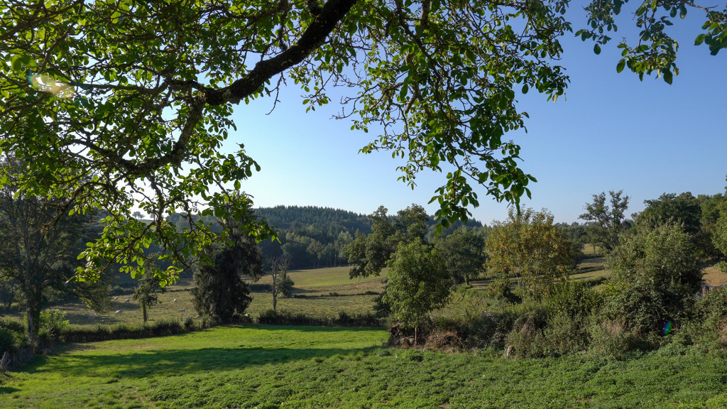 Circuit de randonnée sentier ONF Saint-Pardoux-d'Arnet Nouvelle-Aquitaine