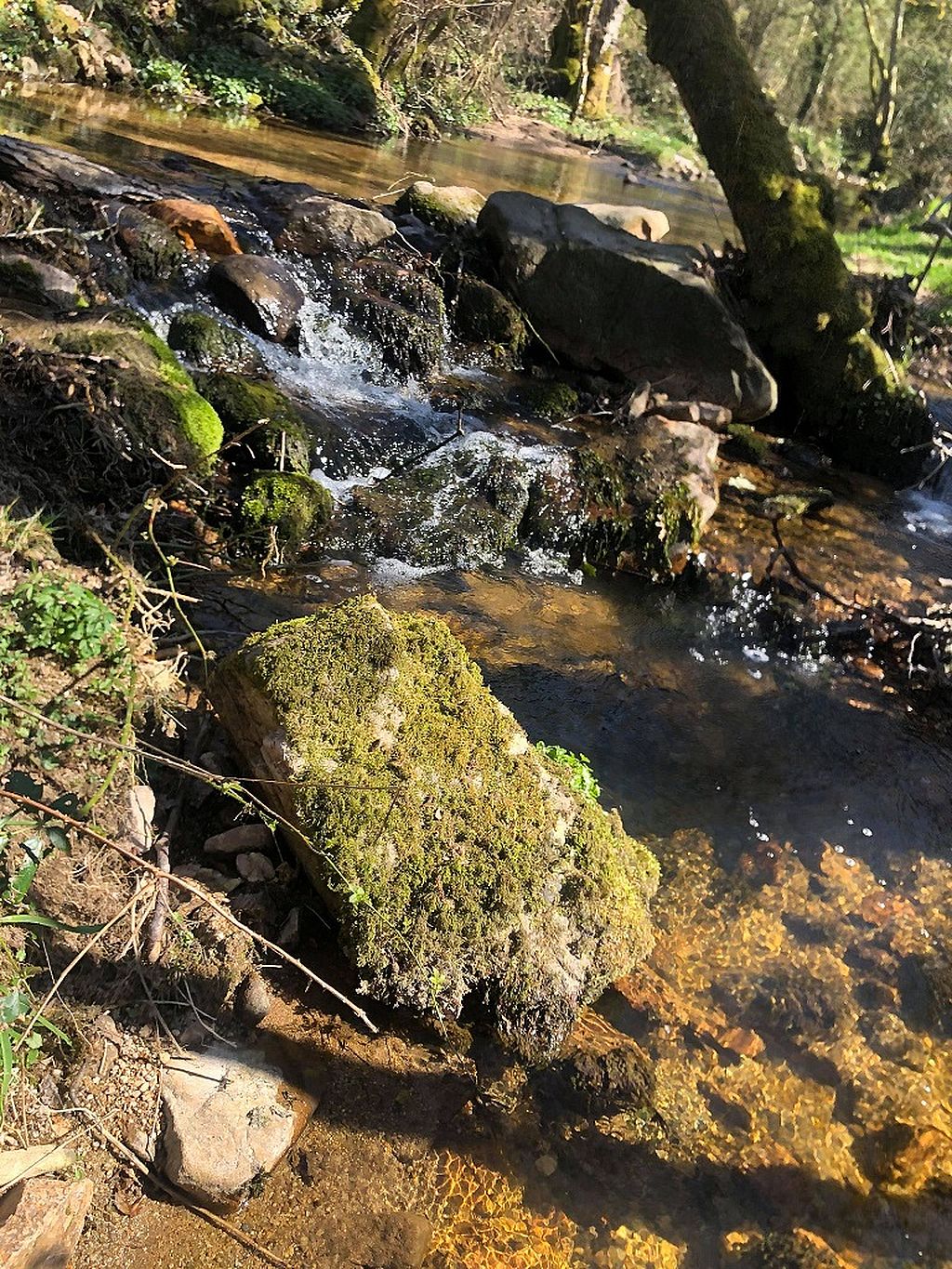 Circuit autour du Verraux Clugnat Nouvelle-Aquitaine Circuit autour du Verraux Clugnat Nouvelle-Aquitaine