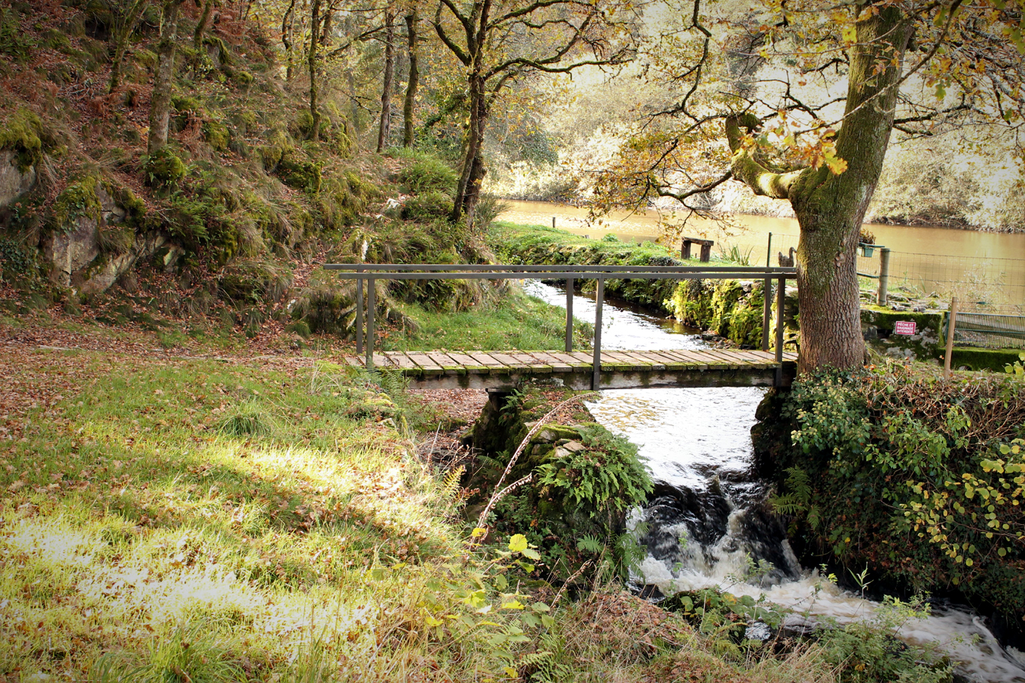Circuit pédestre n° 6 Randoguide la Faille des Trois Provinces Saint-Agnant-de-Versillat Nouvelle-Aquitaine