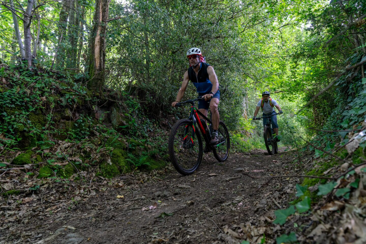 Circuit VTT n°25 Périple autour de la Chaume Azerables Nouvelle-Aquitaine Circuit VTT n°25 Périple autour de la Chaume Azerables Nouvelle-Aquitaine