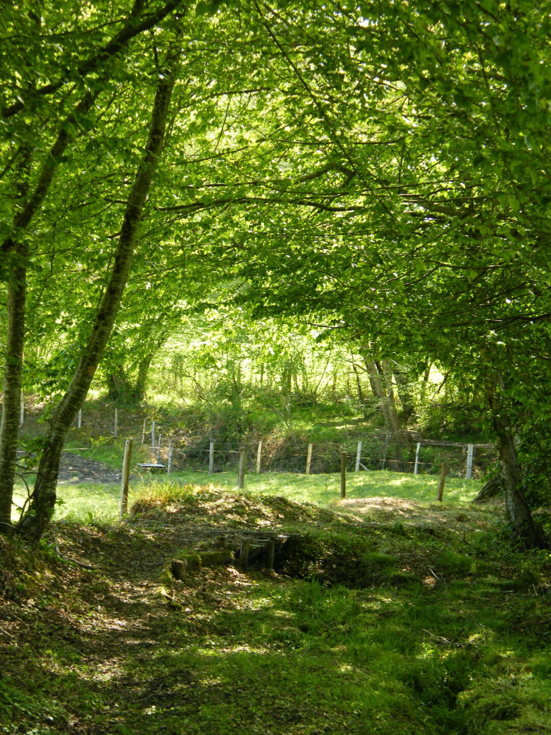 Circuit pédestre D'eau et de quartz NZ1 Nouzerolles Nouvelle-Aquitaine
