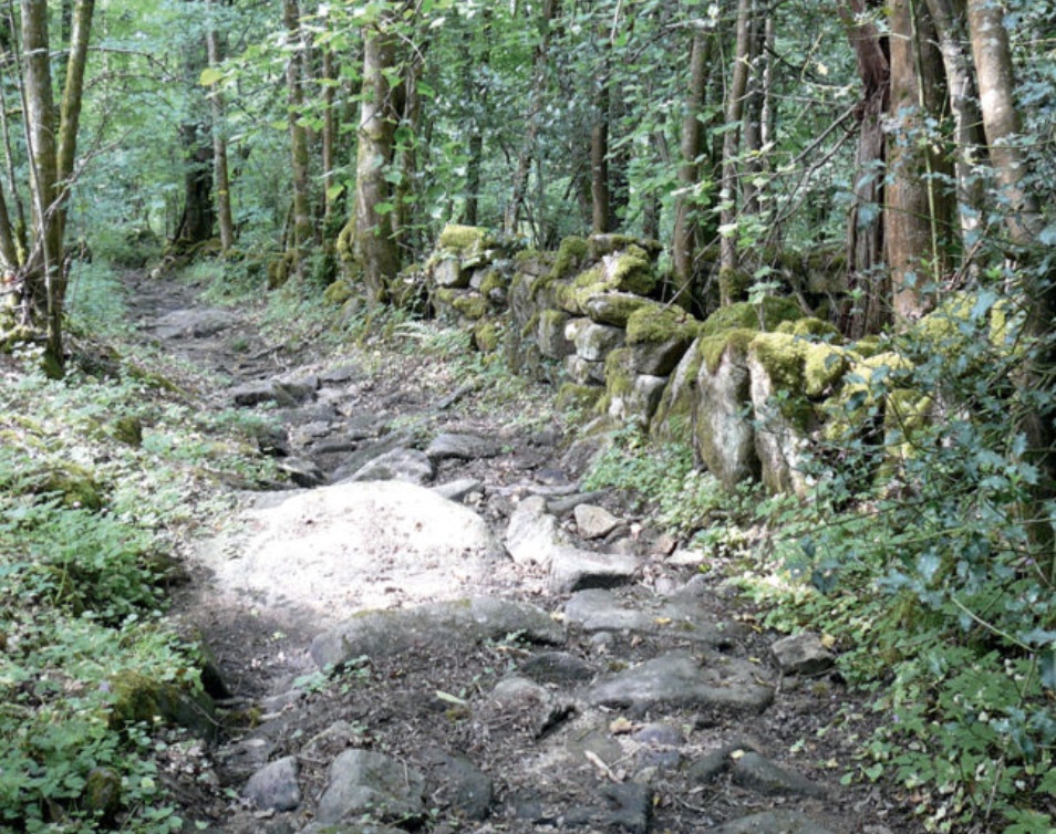 Circuit pédestre Les Charmes D'antan Jalesches Nouvelle-Aquitaine