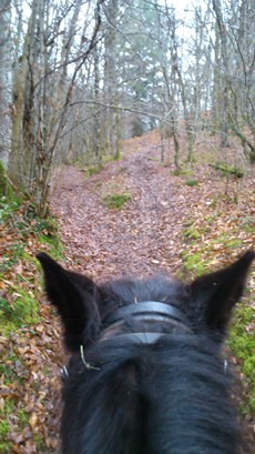 Boucle équestre du Château de la Chapoulie à Peyrignac Le Lardin-Saint-Lazare Nouvelle-Aquitaine