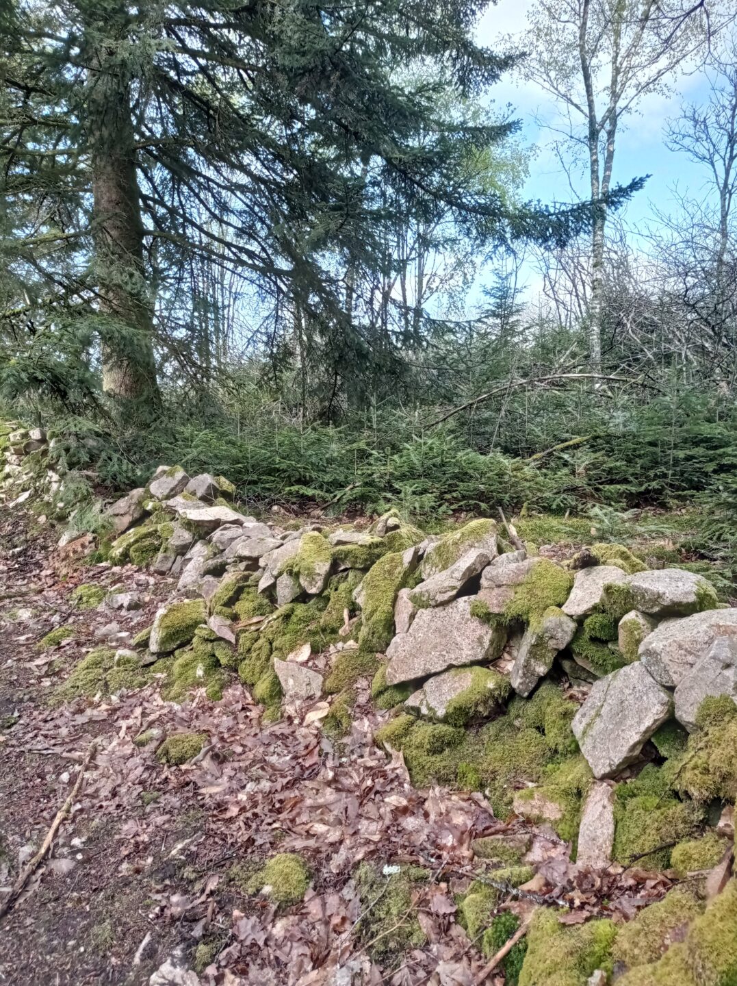 Le circuit des vieilles pierres Saint-Silvain-sous-Toulx Nouvelle-Aquitaine