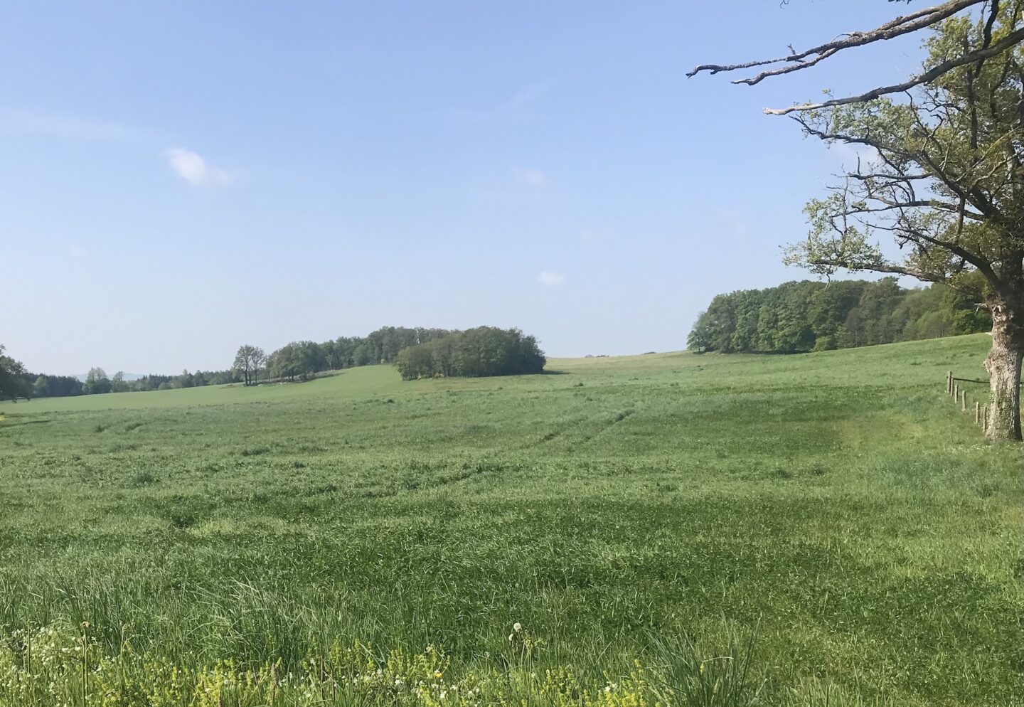 Circuit pédestre n°AU2 Les Rocailleurs Augères Nouvelle-Aquitaine