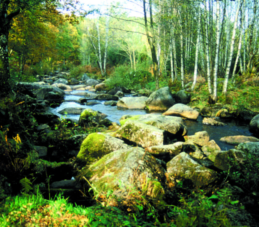 Circuit pédestre n°FC4 Dans les bois de Chabannes Fursac Nouvelle-Aquitaine