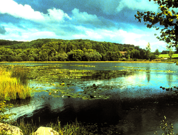 Circuit pédestre n°B2 La Forêt de Chabaud Bénévent-l’Abbaye Nouvelle-Aquitaine Circuit pédestre n°B2 La Forêt de Chabaud Bénévent-l'Abbaye Nouvelle-Aquitaine
