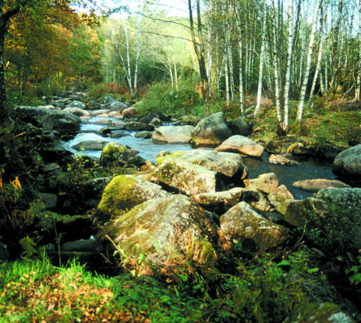 Circuit pédestre n°M03 Leychameau Mourioux-Vieilleville Nouvelle-Aquitaine