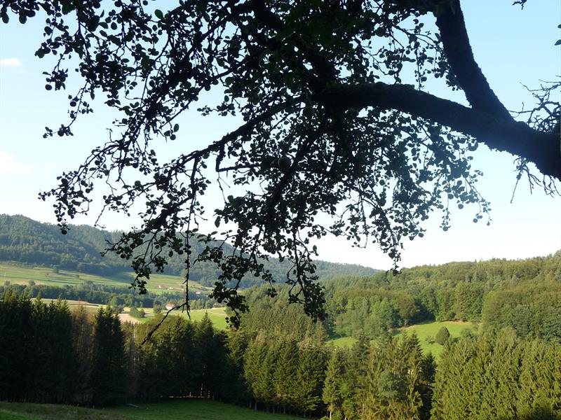 VTT n°12 L'Inter'Vall Fontenay Grand Est