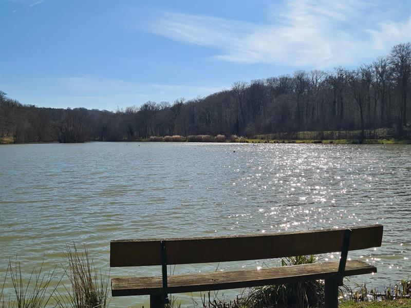 Circuit Pédestre 06 Le Rond des Gendarmes 8.9 km Saulxures-lès-Bulgnéville Grand Est