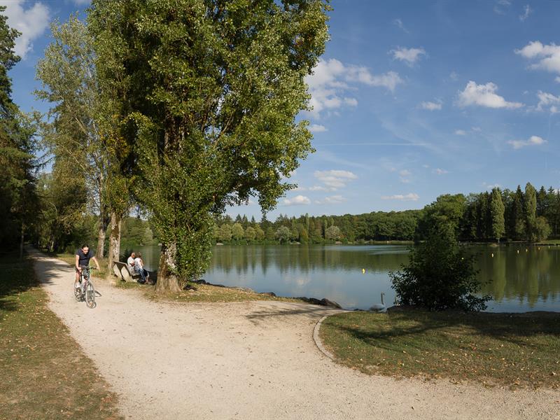 Circuit Pédestre 23 Entre Forêt et Thermes 15 km Contrexéville Grand Est