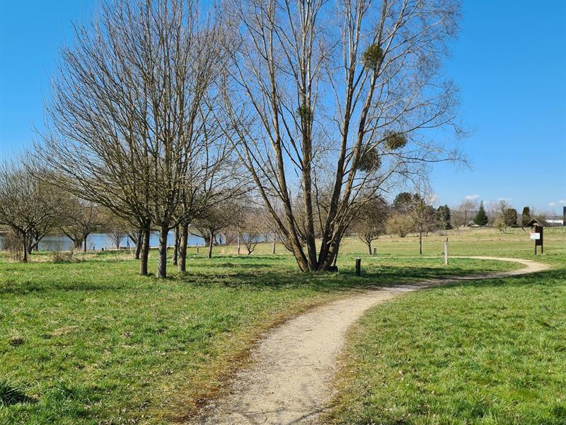 Circuit Pédestre 02 Entre Lacs 11.2 km Bulgnéville Grand Est