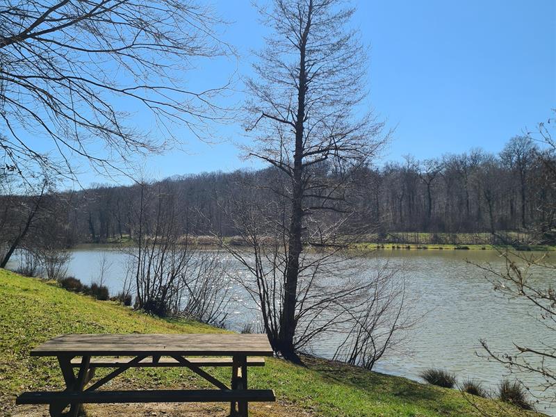 Circuit Pédestre 04 Circuit Long des 2 Lacs 13.1 km Bulgnéville Grand Est
