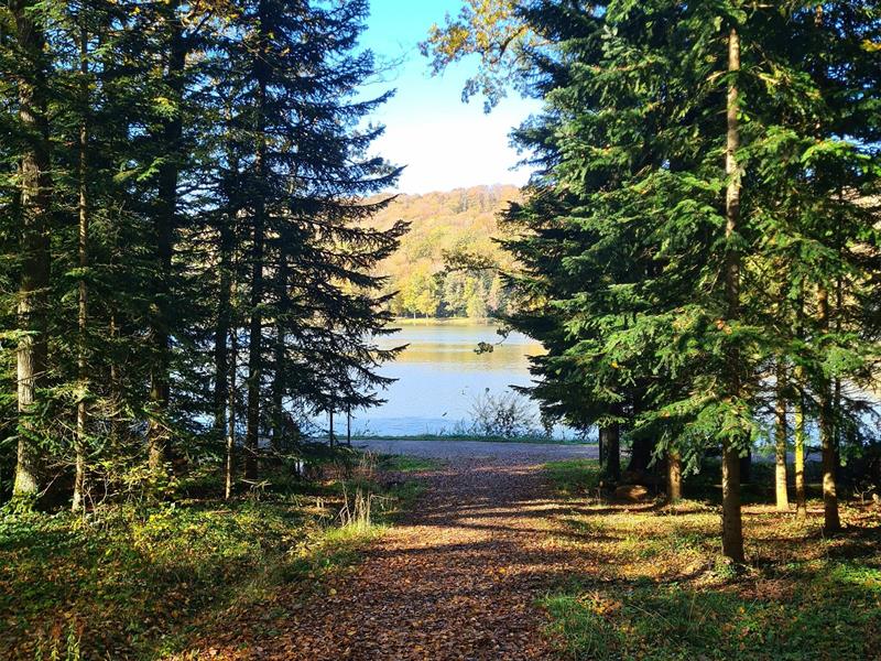 Sentier des Lacs de Contrexéville au Parc de Vittel 6 km Contrexéville Grand Est