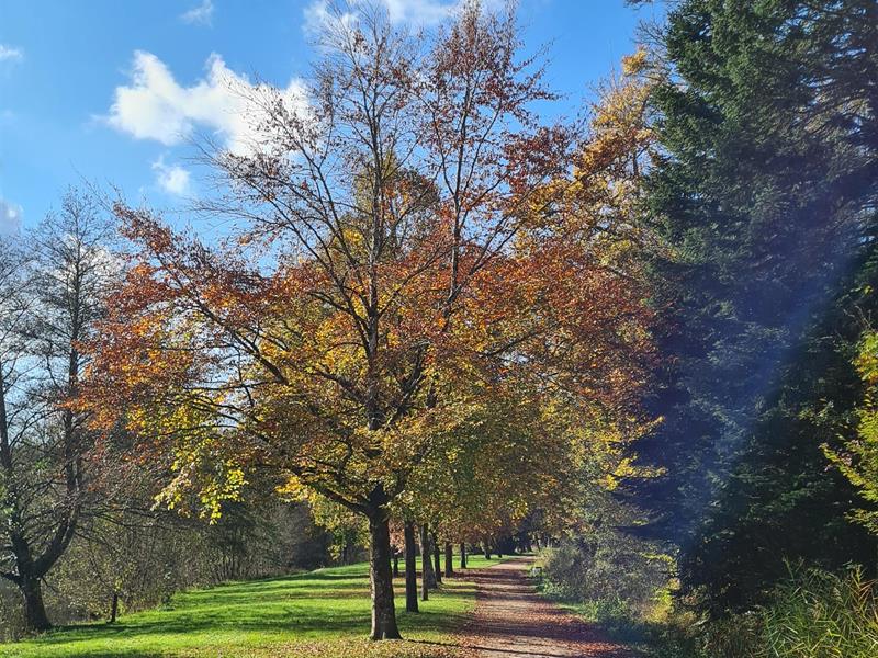 Circuit Pédestre 07 L'Anger 16.5 km Saint-Ouen-lès-Parey Grand Est