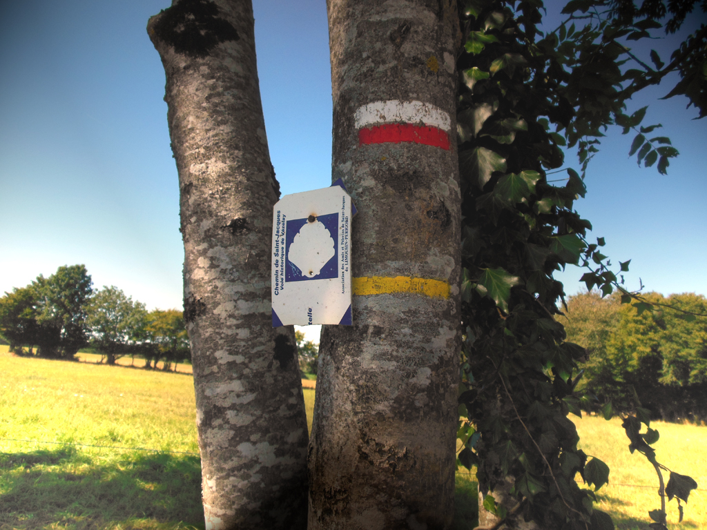 Circuit pédestre n° 5 Forgevieille Saint-Germain-Beaupré Nouvelle-Aquitaine