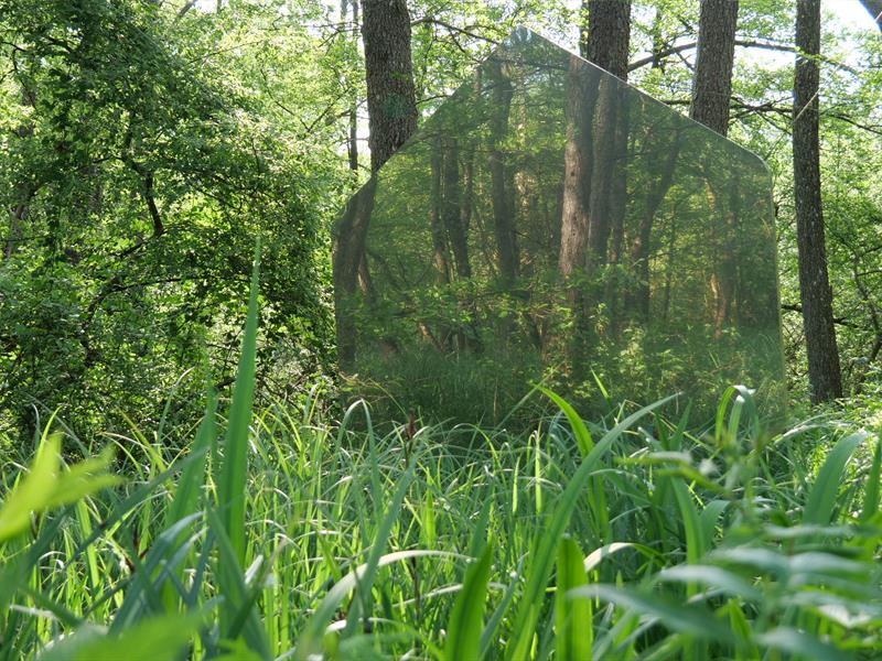 Sentier aux sculptures Baerenthal Grand Est