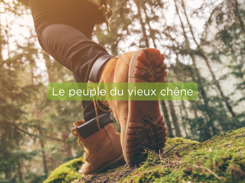 Circuit Le peuple du vieux chêne Waldweistroff Grand Est