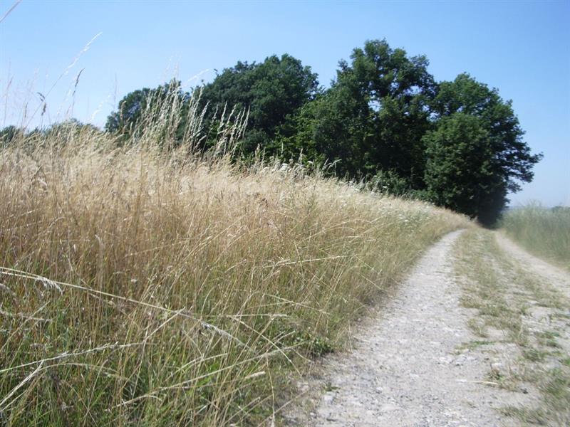 Circuit cyclable entre Hérapel et Berges de la Rosselle Théding Grand Est