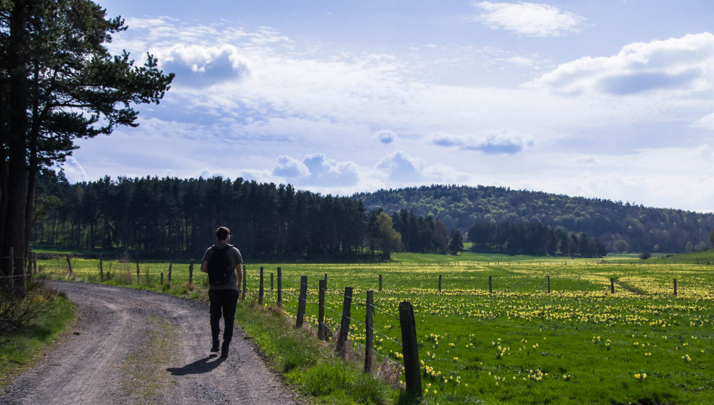 Au seuil de l'Aubrac Parcours n°9 La Fage-Saint-Julien Occitanie