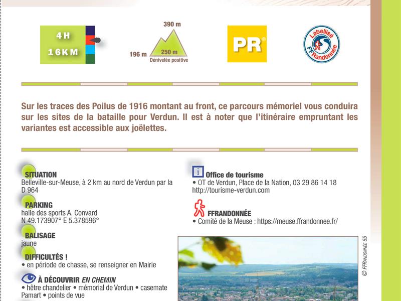 Circuit rando N° 88 Le Hêtre Chandelier