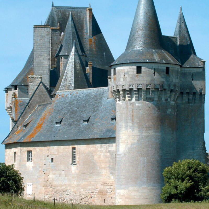 Les logis de Cherveux Cherveux Nouvelle-Aquitaine