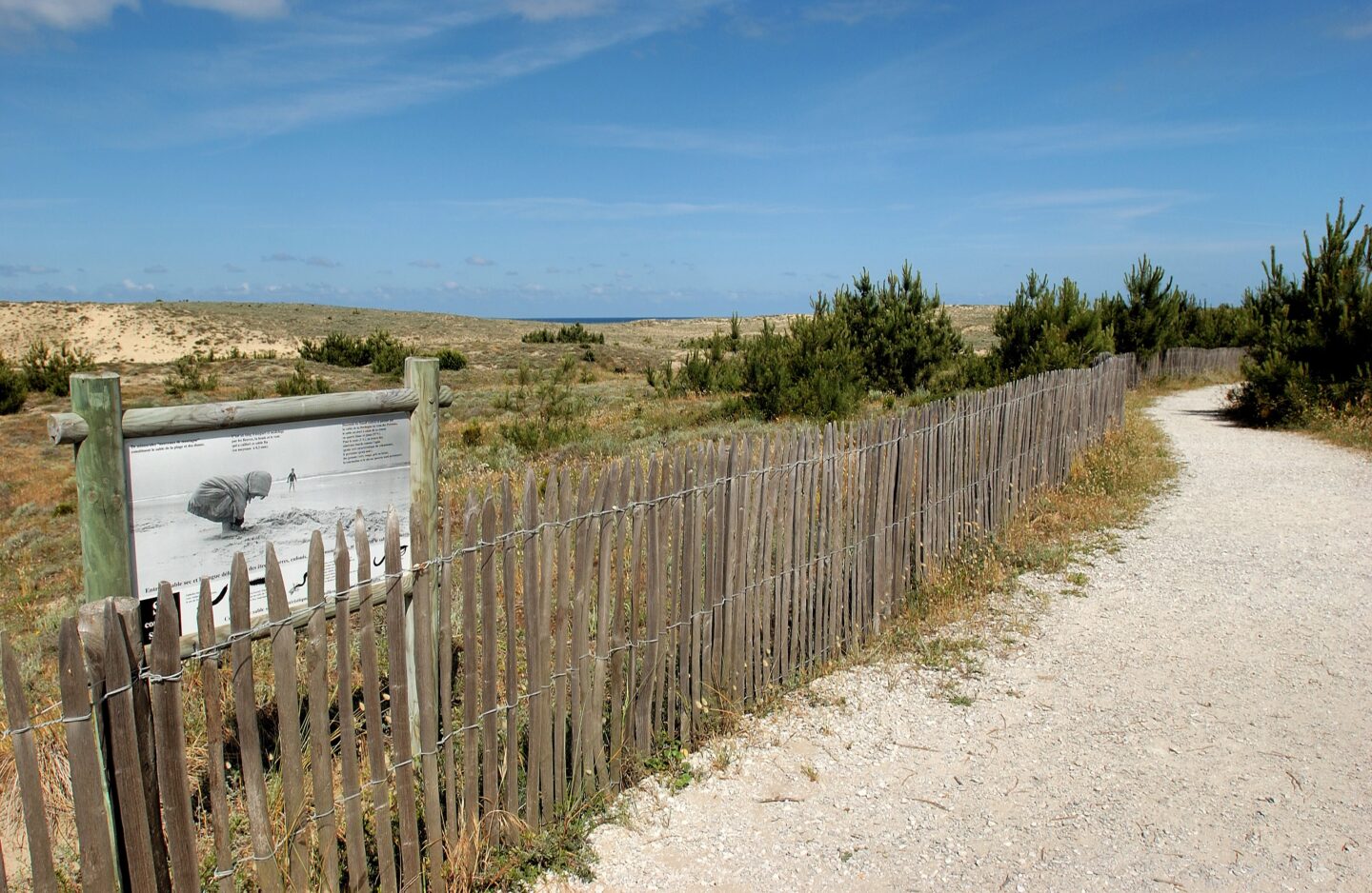 L'abécédaire des Dunes du Cap Ferret Lège-Cap-Ferret Nouvelle-Aquitaine