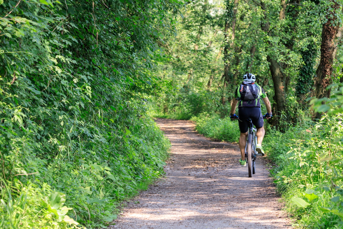 Circuit du pignada Saint-Paul-lès-Dax Nouvelle-Aquitaine